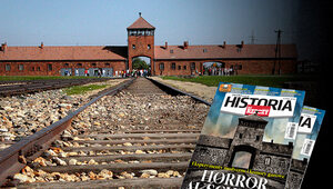 Horror Auschwitz. Eksperymenty medyczne i komory gazowe