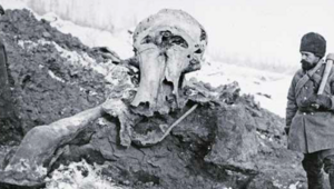 Bestie z wiecznej zmarzliny. Znaleziska sprzed 40 tys. lat
