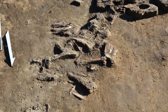 Wykopaliska na terenie grodu sprzed 2,5 tys. lat odkrytego na Podkarpaciu