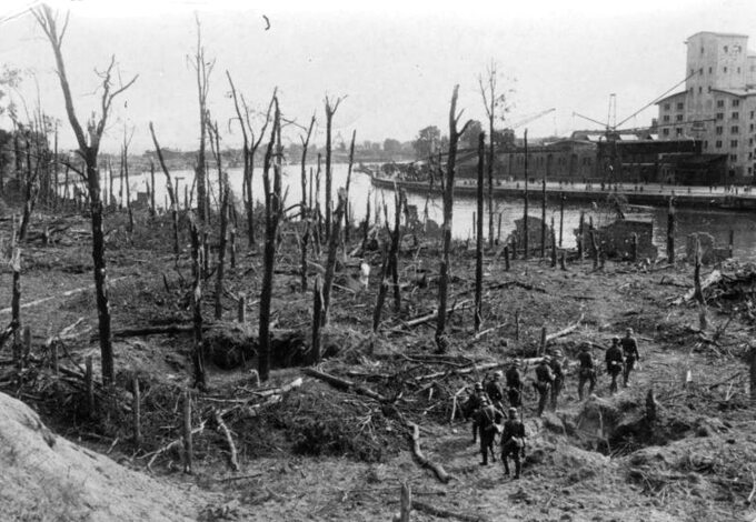Las na Westerplatte po zakończeniu walk