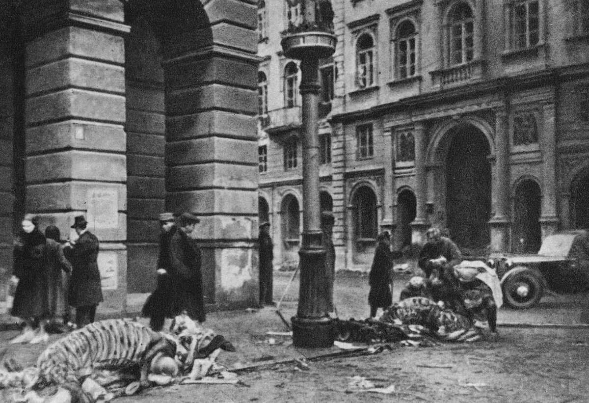 Szkielet konia przy Nowym Świecie W oblężonej Warszawie panował głód, dlatego mięso koni, które padły podczas bombardowań i ostrzału, było szybko zabierane przez cywilów. Ulica Nowy Świat przy pałacu Staszica.