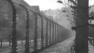 Po drugiej stronie Auschwitz. Jak Polacy pomagali więźniom